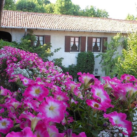 Agriturismo Cassinazza 오르세니고 외부 사진