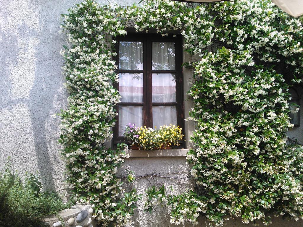 Agriturismo Cassinazza 오르세니고 객실 사진