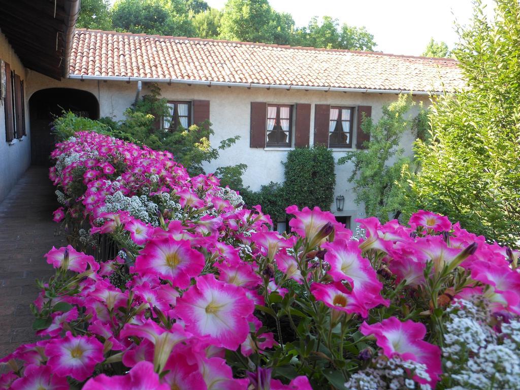 Agriturismo Cassinazza 오르세니고 외부 사진