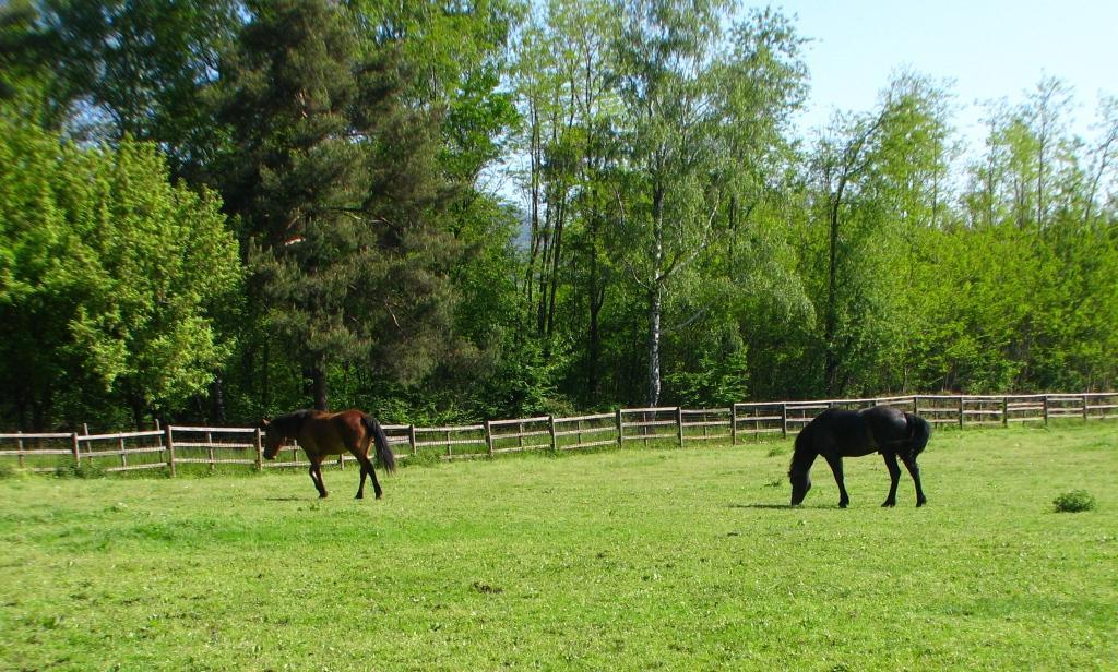 Agriturismo Cassinazza 오르세니고 외부 사진